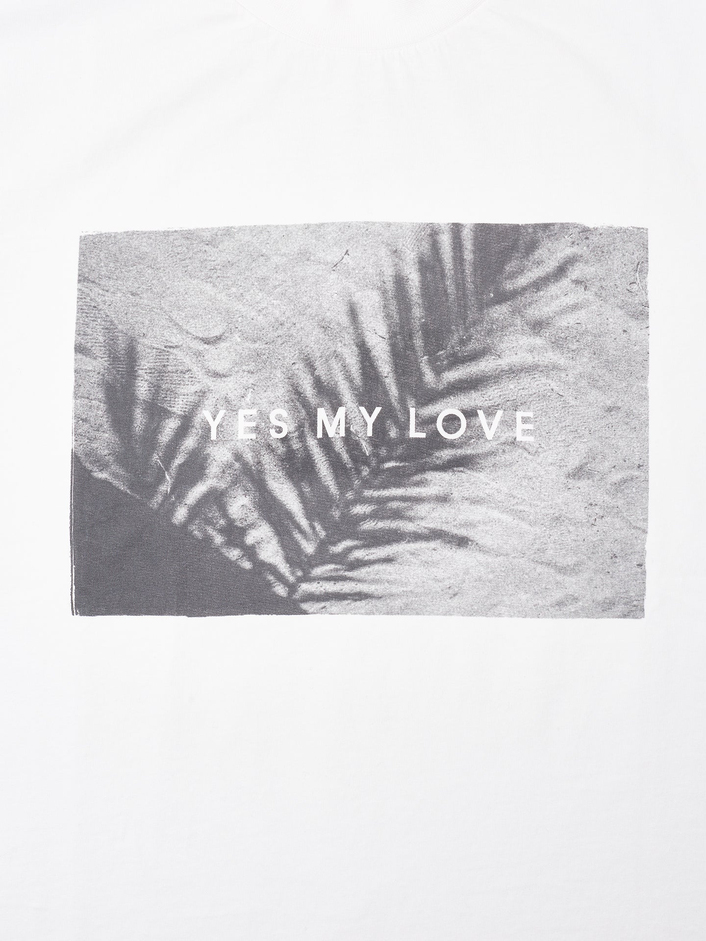Palm Tree T-Shirt - weiß