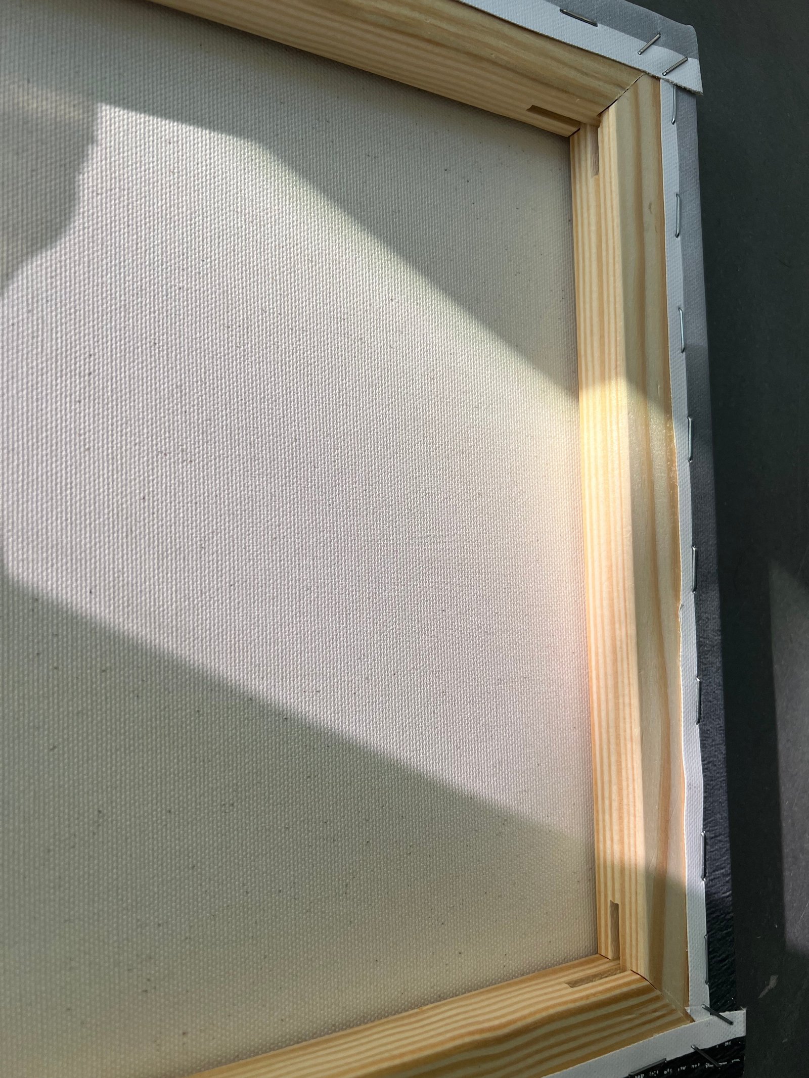 Palme im Abendlicht, Leinwandbild