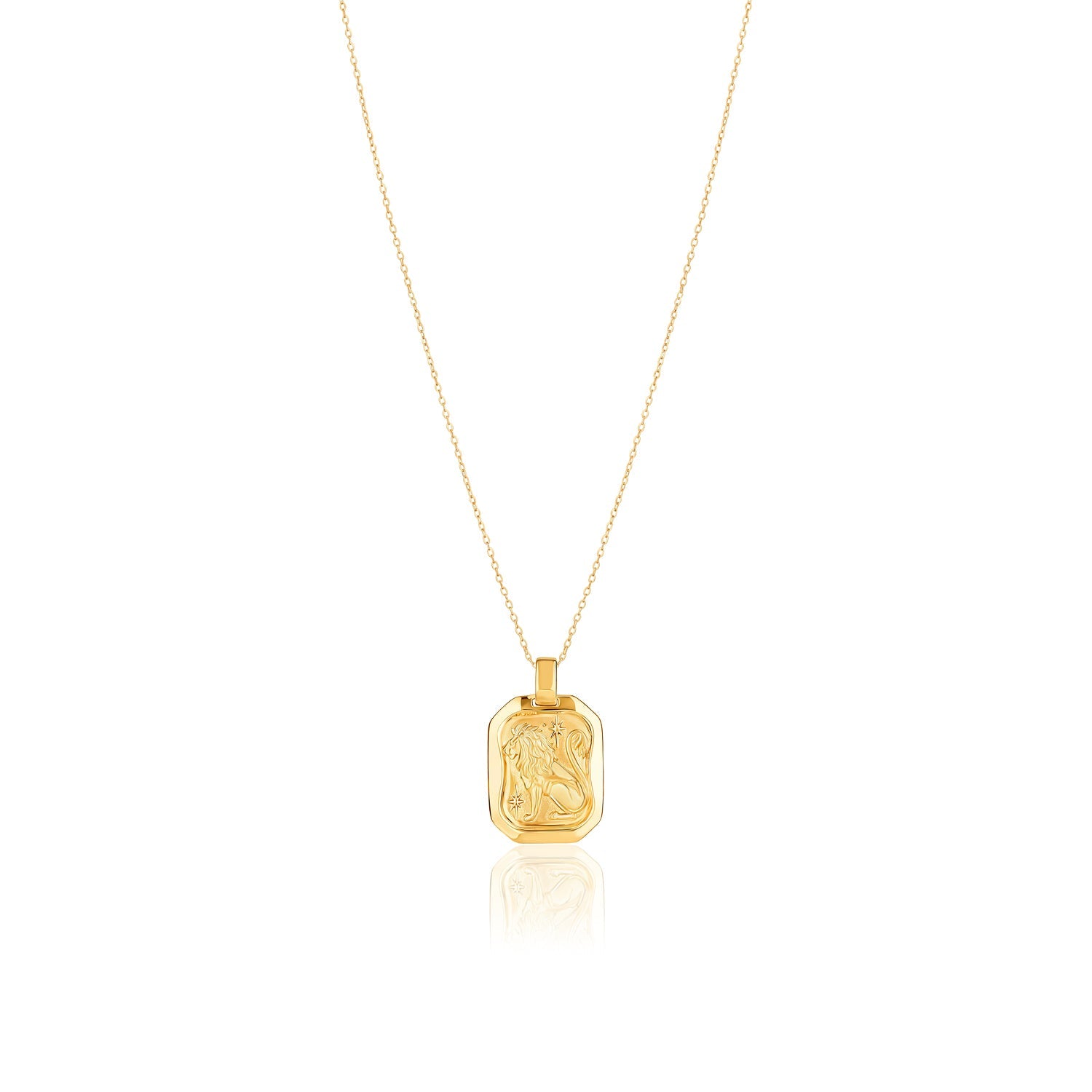 Leo Pendant Zodiac Birthstone Necklace in Gold